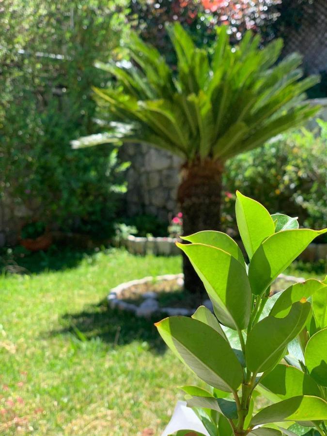 Villa Theosis Никиана Екстериор снимка